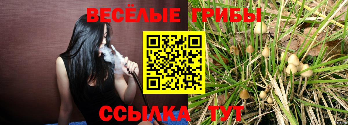 Псилоцибиновые грибы ЛСД  Вход с VPN  Выборг  купить  цена  Псилоцибиновые грибы Magic Shrooms 