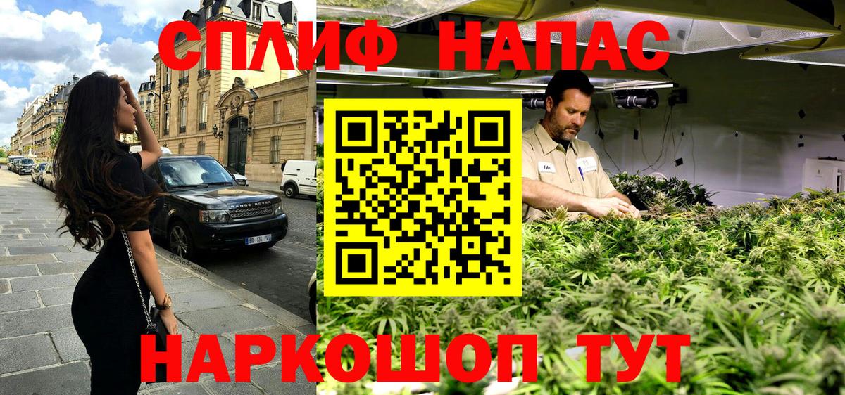 Конопля сатива Выборг